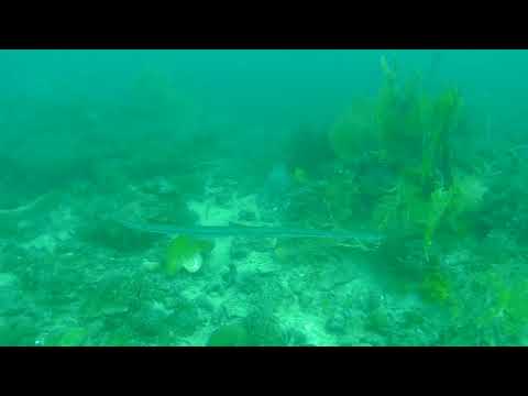 2018 1230 172012 041