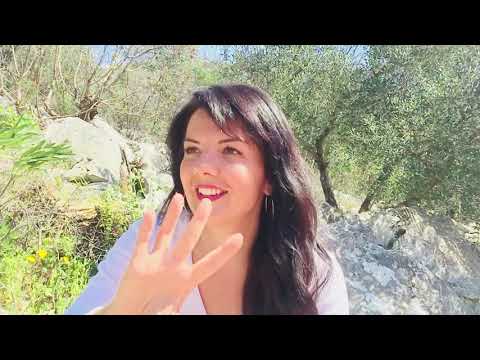 Kreacija i disciplina-igra muško ženske energije u nama.