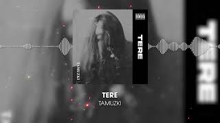 Tere Music Video