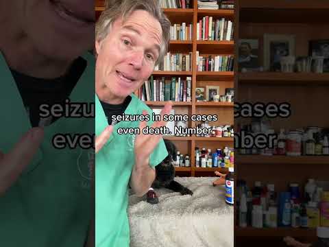 Can salt poison your dog?