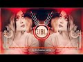Haseeno Ko Aate Hain Kya Kya Bahane Dj Remix Hard Bass Mix Hindi Song Dj Jbl Vibration Kaitha Song