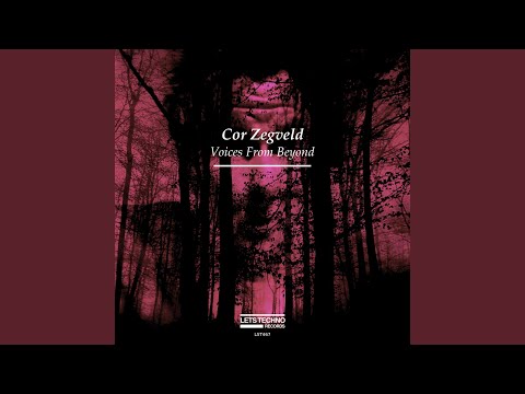 I will control you (Original Mix)