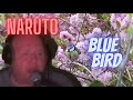 [ Reprise ] - Blue Bird - Naruto - David - FIls de Ange Momone - AM&D