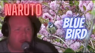 Cover art for [ Reprise ] - Blue Bird - Naruto - David - FIls de Ange Momone - AM&D