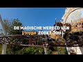 Studentenjob Plopsaland De Panne video thumbnail