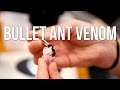 Bullet Ant Venom 