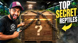 Download lagu Top Secret Animals At My Reptile Zoo! mp3 Download lagu Top Secret Animals At My Reptile Zoo! mp3