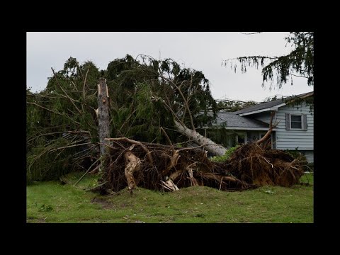 'Never been through anything like this before in my life' | Multiple trees fall on Plainfield home