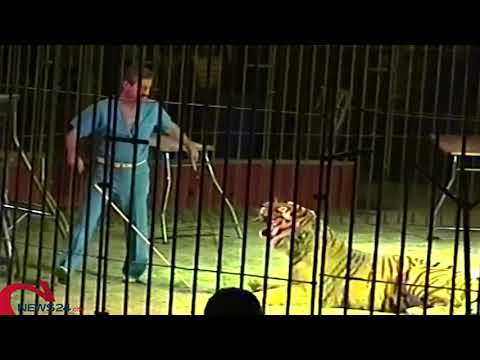 , title : 'TRIGGIANO | Domatore ucciso e sbranato da 4 tigri al Circo Orfei'