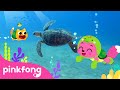I’m a Baby Turtle | Sneak Peek of Baby Turtle's Day! | Kids Nursery Rhyme | Pinkfong Ninimo