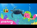 I M A Baby Turtle Sneak Peek Of Baby Turtle S Day Kids Nursery Rhyme Pinkfong Ninimo