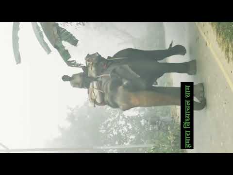 vindhya kshetr ka nature