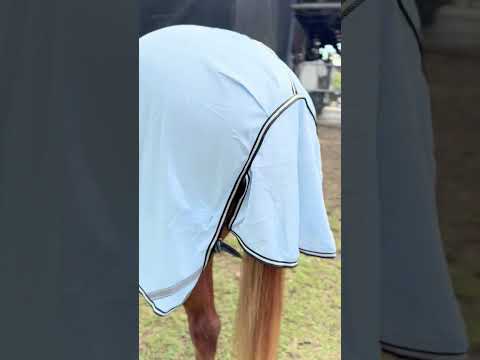 Delzani Barcoo Air-Mesh Neck Combo Horse Rug – Airflow, Strength & UV Protection