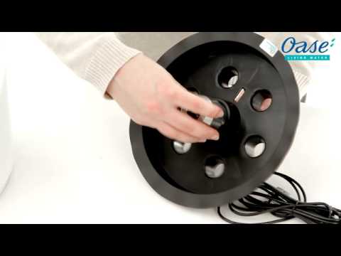 Watch Video on YouTube