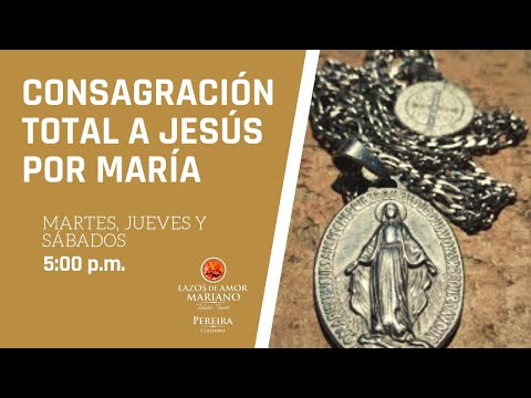leccion 14 - La Tibieza Espiritual (Consagración online a Jesus por Maria )