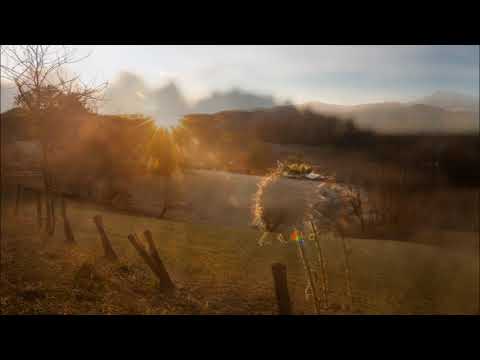 "O jeseni"  Jan Demencik (music /Fujara Alexandra Podivinska Lane photos)