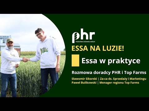 Essa w praktyce – rozmowa z doradcami PHR i Top Farms | Pszenica ozima 2025 | PHR
