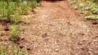 Urban sprout farms, Atlanta, Georgia.Give thanks to volunteers and community for your support.