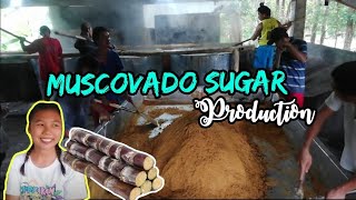 How is Muscovado Sugar being processed || Patnoñgon, Antique