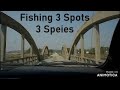 Video Thumbnail for Fishing 3 Spots 3 Species