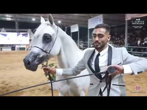 Egyptian Event Israel 2023 Class 18