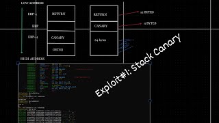 Exploit #1: Stack Canary Protection | Bypass