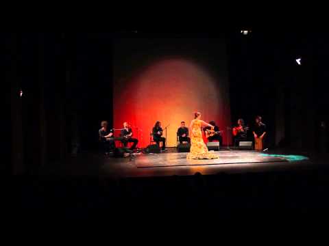 Jana Drdácká a Flamenco Element - Romera con bata de cola