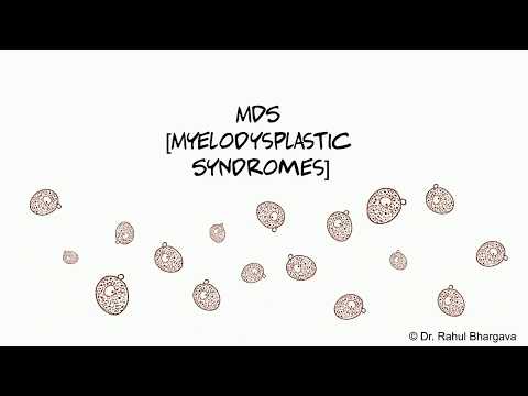 Myelodysplastic Syndrome: Disease, Diagnosis And Doctor's Action