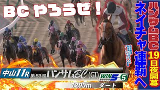 【第53回ハンサムBC】とらじろさん家のダービースタリオン#84