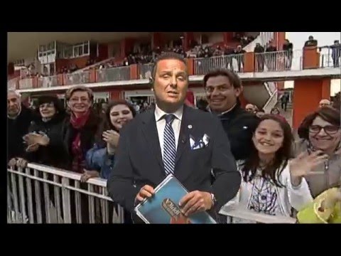 461°NO PROBLEM...IPPICA 29/01/2016