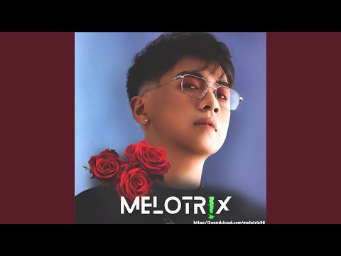TháiHoàng - 999 Đoá Hồng (MELOTRIX VIP)