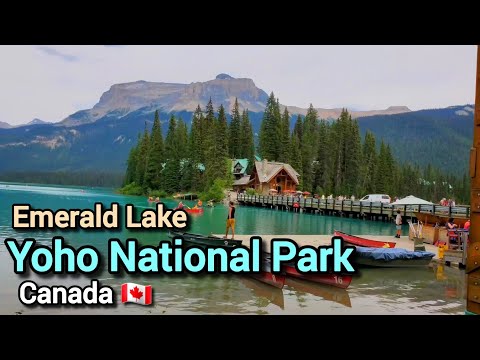 Emerald Lake in Yoho National Park | Places to visit in Yoho National Park, BC Canada 🇨🇦 #canada