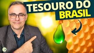 Própolis Verde: por que esse tesouro brasileiro pode ajudar na glicemia, gripe e intestino