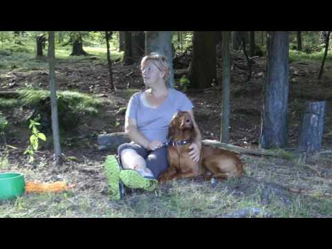 24.-30.7.2016 DOORS DANITTY - agility tábor Šumava