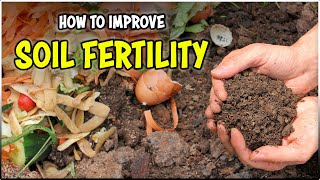 How to improve Soil Health & Soil Fertility