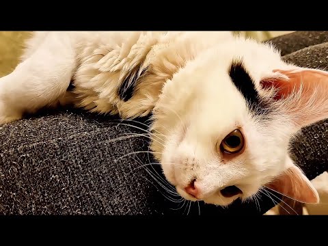 Liya’s Relaxing Moments