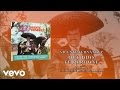 Vicente Fernández - Que Dios Te Perdone (Cover Audio)