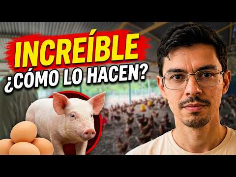 Así es una granja 100% orgánica en La Pintada, Panamá