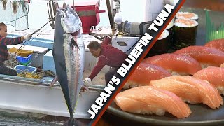 Bluefin Tuna (Maguro) Story | Sea to Sushi Shop ★ ONLY in JAPAN