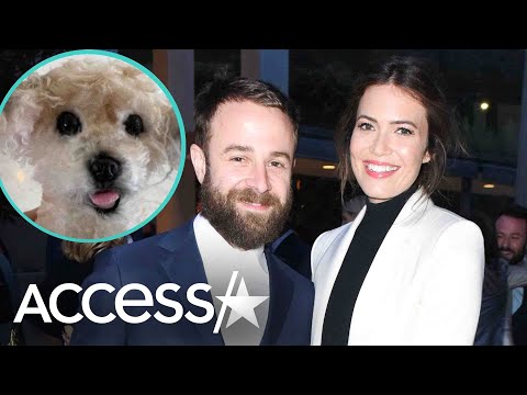 Mandy Moore Gets Replica Of Her Late Dog