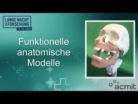 ACMIT at the “Long Night of Research 2024” (LNF 2024)