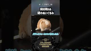 大会中に突如現れる謎のぬいぐるみ【VALORANT】 #shorts #valorant