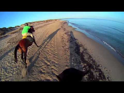 Prima prova di galoppo con Rocco... ohia...