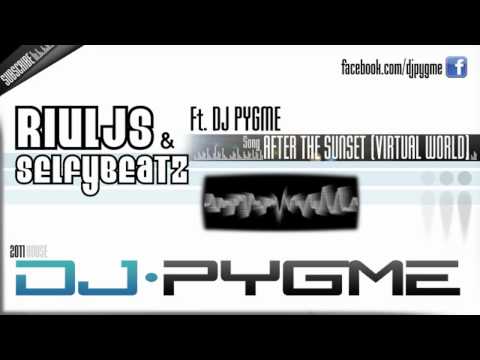 SelfyBeatz & Riuljs & DJ Pygme - After The Sunset (Virtual World) [2011]