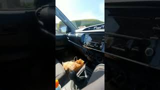 Meself getting home for the toy show with precious cargo