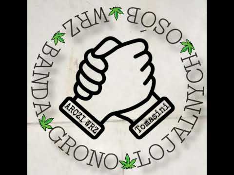 No to Focus - Arczi WRZ & Tomasini G.L.O.