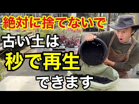 園芸 木の石灰処理