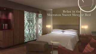 Hotels in Zurich | Sheraton Zurich Hotel | Honest Hotel Review
