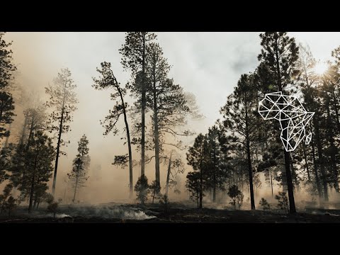 Zito Mowa & Krippsoulisc - Goat Stew (China Charmeleon Remix) [Deep House / Garden Groove Music]