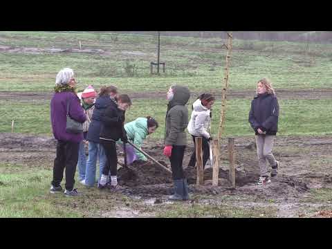 Bomen planten natuur begraafplaats Sambeek 01